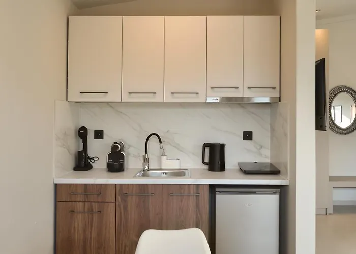 Olive All-seasons Suites, Panel Hospitality Homes & Litochoro